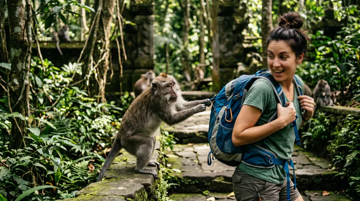 Miniature conseil voyage Bali avec un panneau stop devant un temple.